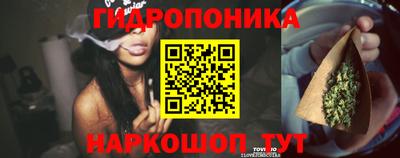 ПСИЛОЦИБИНОВЫЕ ГРИБЫ Донской