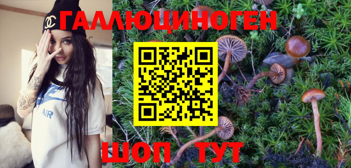 Псилоцибиновые грибы GOLDEN TEACHER Лабытнанги